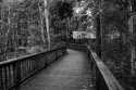 Other_Places